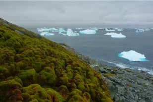 Antartica
